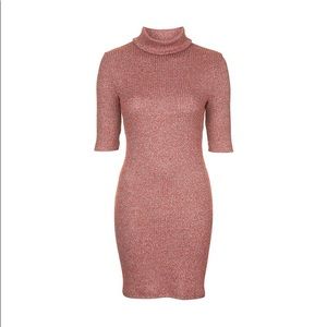 NWT | Topshop Sweater Dress | Berry | 12